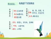 初中  生物  人教版（2024）  七年级上册（2024）第二节 脊椎动物 课件