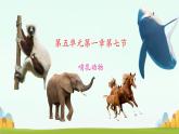 初中  生物  人教版（2024）  七年级上册（2024）第二节 脊椎动物 课件
