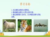 初中  生物  人教版（2024）  七年级上册（2024）第二节 脊椎动物 课件