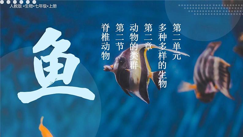 初中  生物  人教版（2024）  七年级上册（2024）第二节 脊椎动物 课件第1页