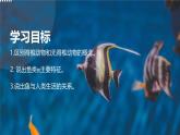 初中  生物  人教版（2024）  七年级上册（2024）第二节 脊椎动物 课件