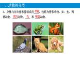 初中  生物  人教版（2024）  七年级上册（2024）第二节 脊椎动物 课件