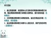 初中  生物  人教版（2024）  七年级上册（2024）第二节 脊椎动物 课件