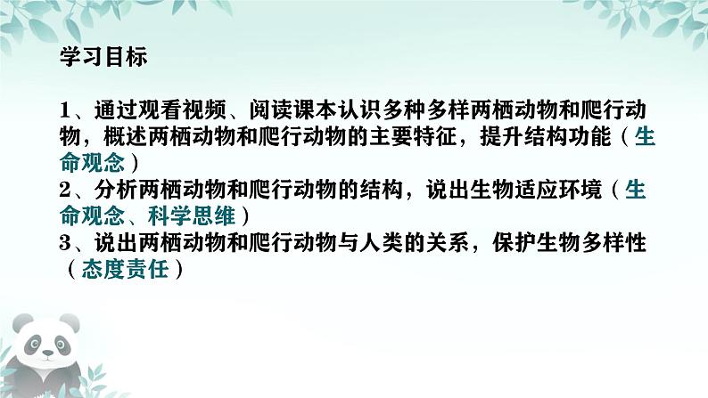 初中  生物  人教版（2024）  七年级上册（2024）第二节 脊椎动物 课件第3页