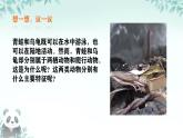 初中  生物  人教版（2024）  七年级上册（2024）第二节 脊椎动物 课件