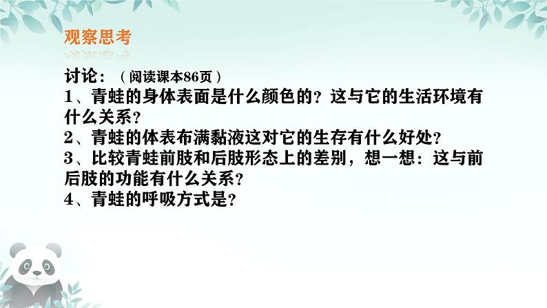 初中  生物  人教版（2024）  七年级上册（2024）第二节 脊椎动物 课件第6页