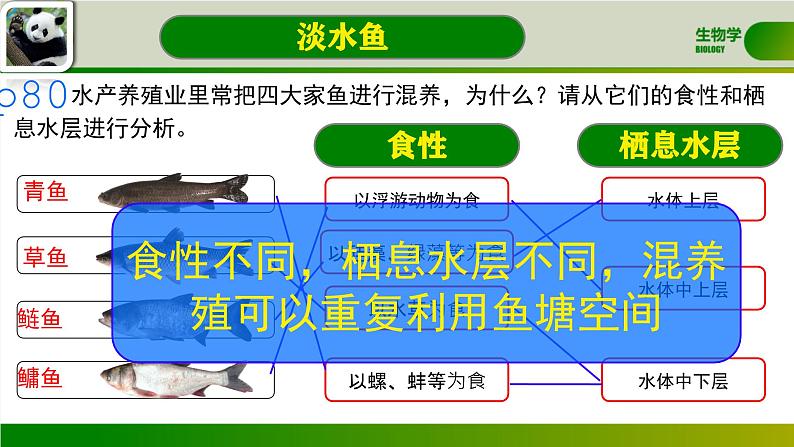 初中  生物  人教版（2024）  七年级上册（2024）第二节 脊椎动物 课件第6页