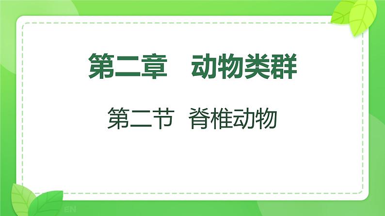 初中  生物  人教版（2024）  七年级上册（2024）第二节 脊椎动物 课件第1页