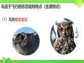 初中  生物  人教版（2024）  七年级上册（2024）第二节 脊椎动物 课件