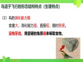 初中  生物  人教版（2024）  七年级上册（2024）第二节 脊椎动物 课件