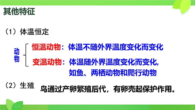 初中  生物  人教版（2024）  七年级上册（2024）第二节 脊椎动物 课件第8页