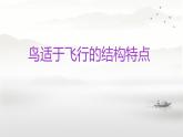 初中  生物  人教版（2024）  七年级上册（2024）第二节 脊椎动物 课件
