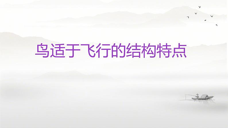 初中  生物  人教版（2024）  七年级上册（2024）第二节 脊椎动物 课件第1页