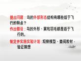 初中  生物  人教版（2024）  七年级上册（2024）第二节 脊椎动物 课件