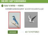 初中  生物  人教版（2024）  七年级上册（2024）第二节 脊椎动物 课件