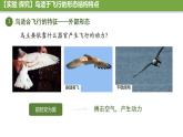 初中  生物  人教版（2024）  七年级上册（2024）第二节 脊椎动物 课件
