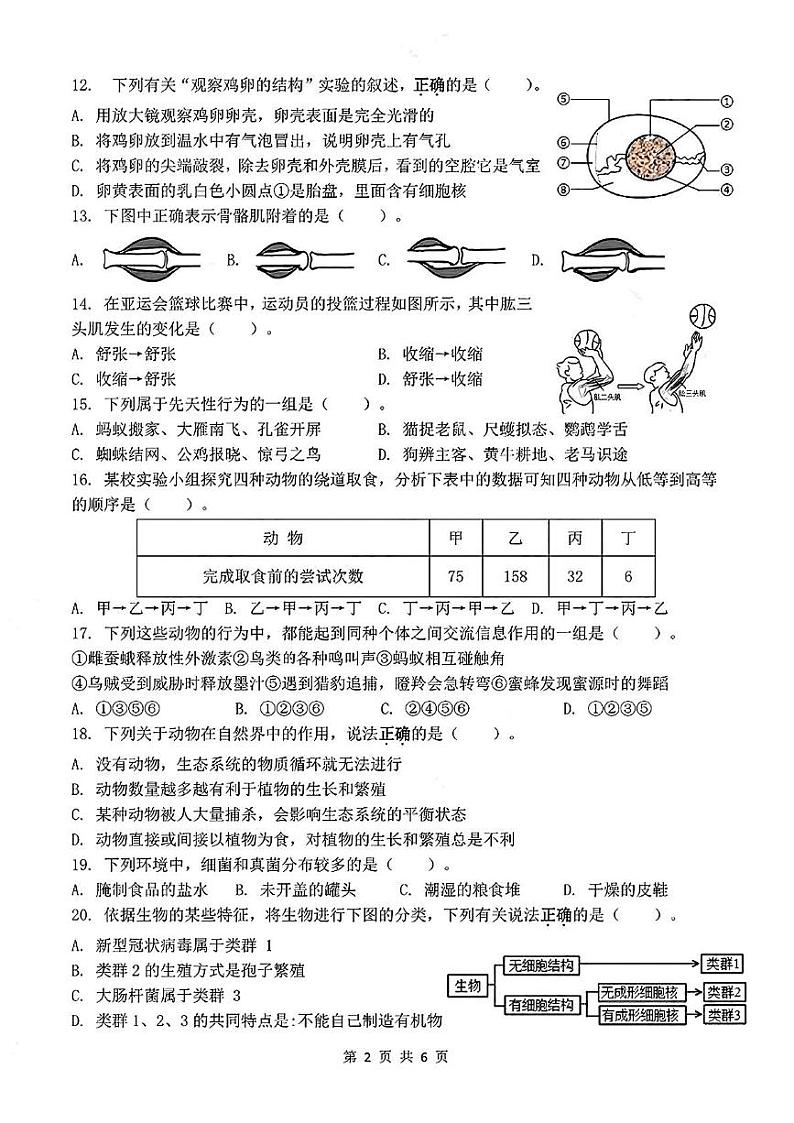 福建省厦门市外国语学校2024-2025学年八年级上学期期末考试生物模拟卷第2页