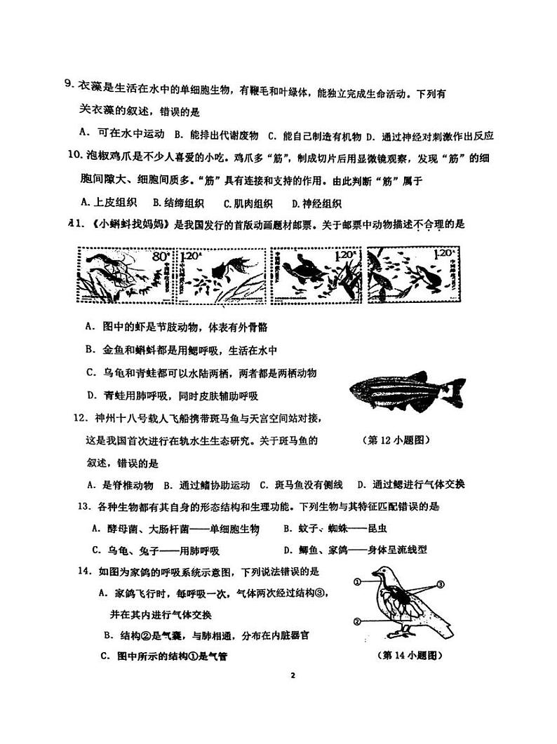 吉林省吉林市第七中学2024-2025学年七年级上学期期末考试生物试卷第2页