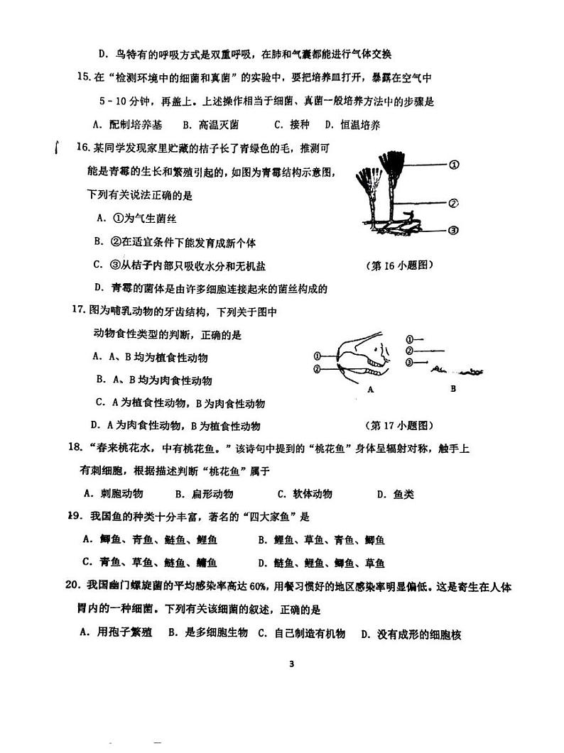 吉林省吉林市第七中学2024-2025学年七年级上学期期末考试生物试卷第3页