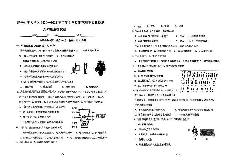 吉林省吉林市第七中学2024-2025学年八年级上学期期末考试生物试卷第1页
