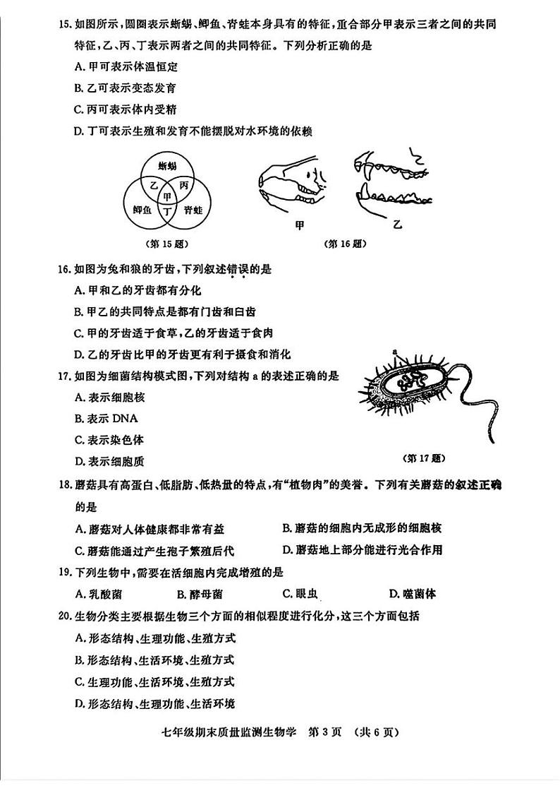 吉林省长春市宽城区 2024-2025学年七年级上学期 期末生物试题第3页