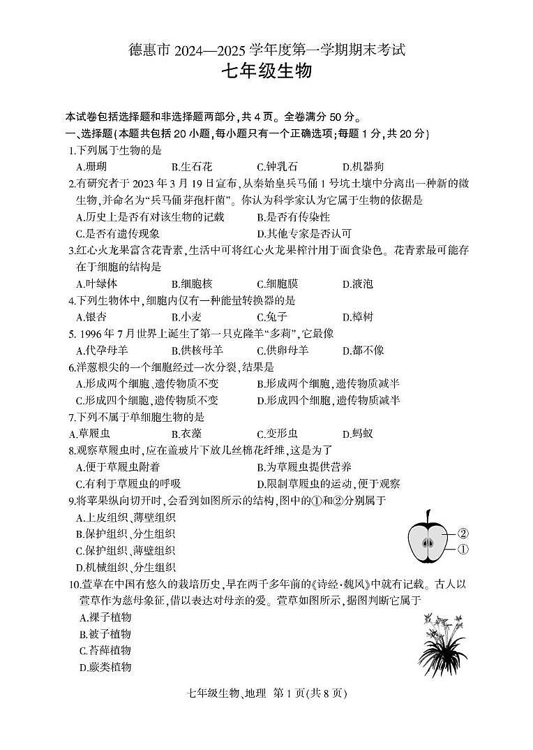 七年级上学期期末生物试题 七年生物.FIT)第1页