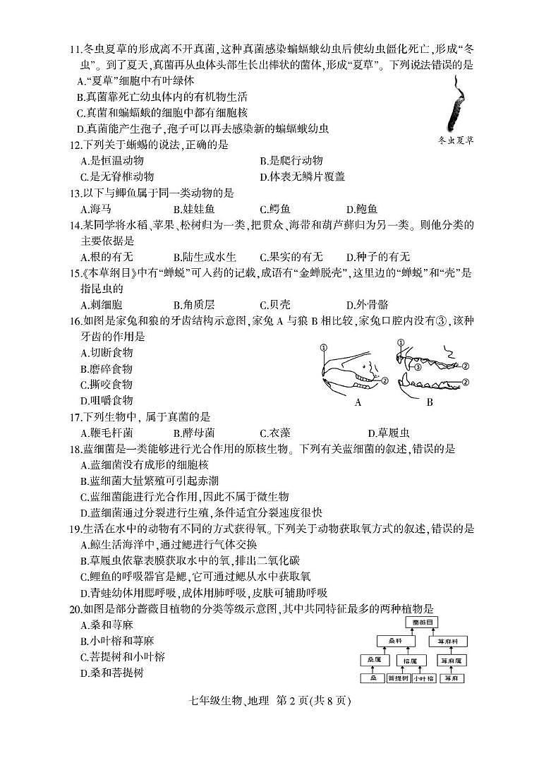 七年级上学期期末生物试题 七年生物.FIT)第2页