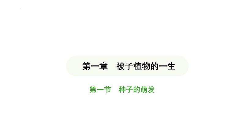 3.1.1 种子的萌发 课件-2024-2025学年人教版生物七年级下册第1页