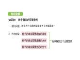 3.1.1 種子的萌發(fā) 課件-2024-2025學(xué)年人教版生物七年級下冊