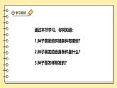 3.1.1種子的萌發(fā)課件-2024--2025學(xué)年人教版生物七年級下冊