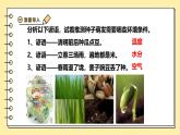 3.1.1種子的萌發(fā)課件-2024--2025學(xué)年人教版生物七年級下冊