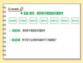 3.1.1種子的萌發(fā)課件-2024--2025學(xué)年人教版生物七年級下冊