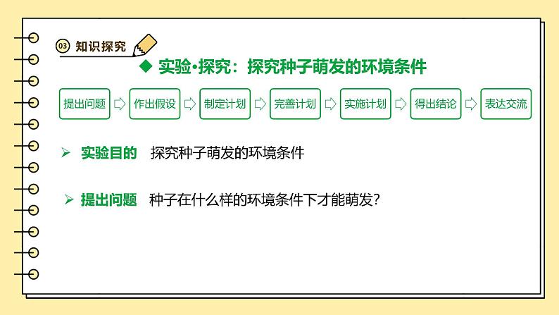 3.1.1种子的萌发课件-2024--2025学年人教版生物七年级下册第4页