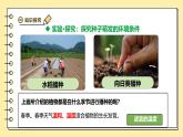 3.1.1種子的萌發(fā)課件-2024--2025學(xué)年人教版生物七年級下冊