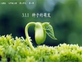 3.1.1種子的萌發(fā)課件-2024--2025學(xué)年人教版生物七年級下冊