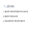 3.1.1種子的萌發(fā)課件-2024--2025學(xué)年人教版生物七年級下冊