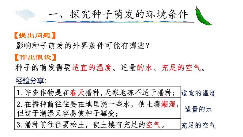 3.1.1种子的萌发课件-2024--2025学年人教版生物七年级下册第7页