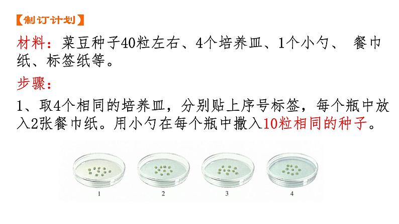 3.1.1种子的萌发课件-2024--2025学年人教版生物七年级下册第8页