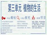 3.1.1 種子的萌發(fā)（課件）-2024-2025學(xué)年七年級生物下冊（人教版2024）