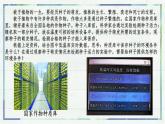 3.1.1 種子的萌發(fā)（課件）-2024-2025學(xué)年七年級生物下冊（人教版2024）