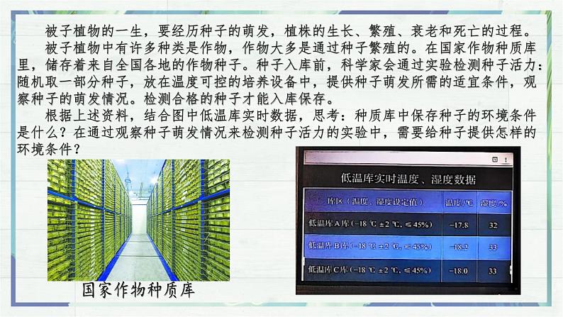 3.1.1 种子的萌发（课件）-2024-2025学年七年级生物下册（人教版2024）第4页