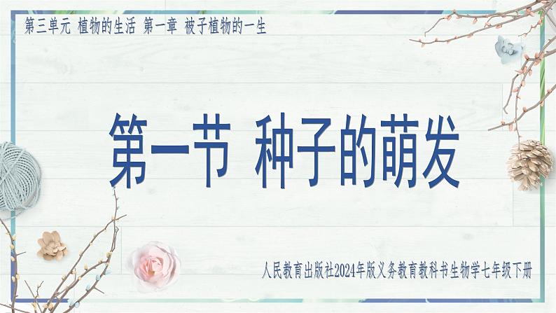 3.1.1 种子的萌发（课件）-2024-2025学年七年级生物下册（人教版2024）第5页