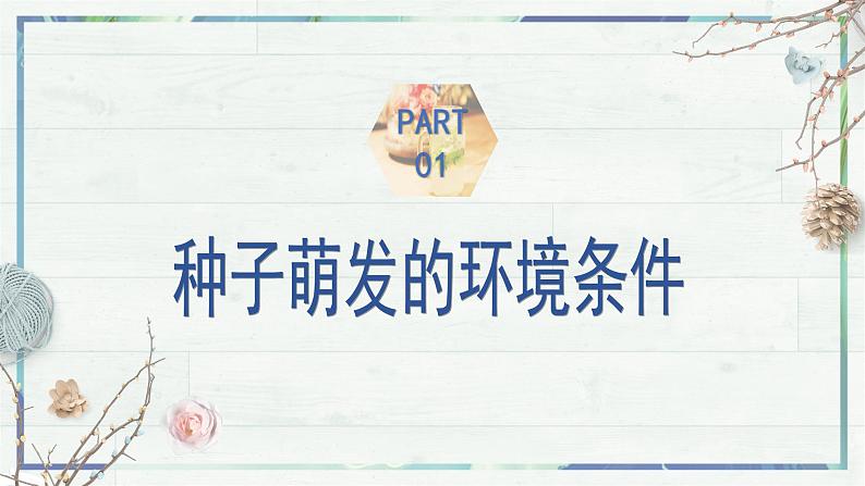 3.1.1 种子的萌发（课件）-2024-2025学年七年级生物下册（人教版2024）第8页