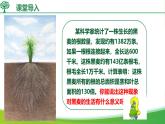 3.1.2 植株的生长（课件）-2024-2025学年七年级生物下册（人教版2024）