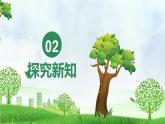 3.1.2 植株的生长（课件）-2024-2025学年七年级生物下册（人教版2024）