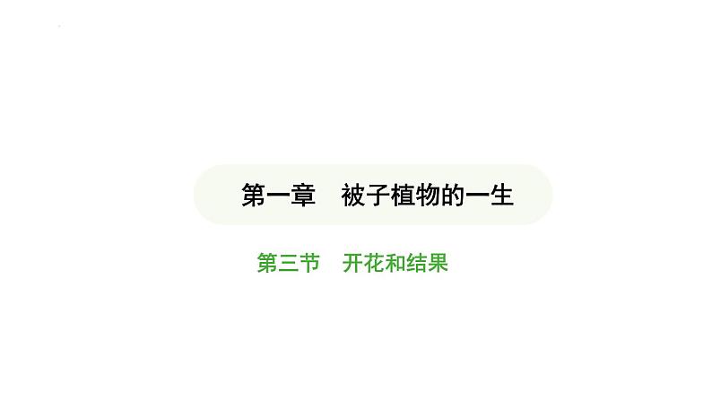 3.1.3 开花和结果 课件-2024-2025学年人教版(2024)生物七年级下册第1页