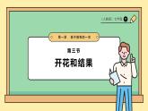 3.1.3開花和結(jié)果課件-2024--2025學年人教版生物七年級下冊