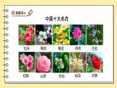 3.1.3開花和結(jié)果課件-2024--2025學年人教版生物七年級下冊