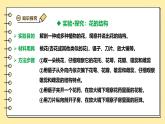 3.1.3開花和結(jié)果課件-2024--2025學年人教版生物七年級下冊