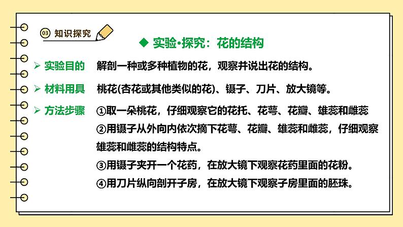 3.1.3开花和结果课件-2024--2025学年人教版生物七年级下册第5页